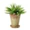 7&#x22; Distressed Terra Cotta Cement Planter with Saucer Set